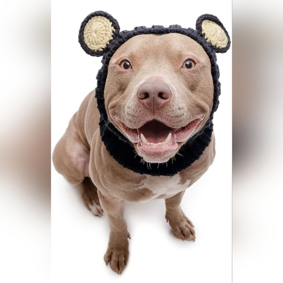Other - ZOO Snoods Black Bear Costume for Dogs
